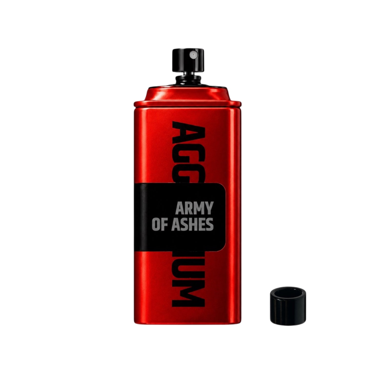 ARMY OF ASHES